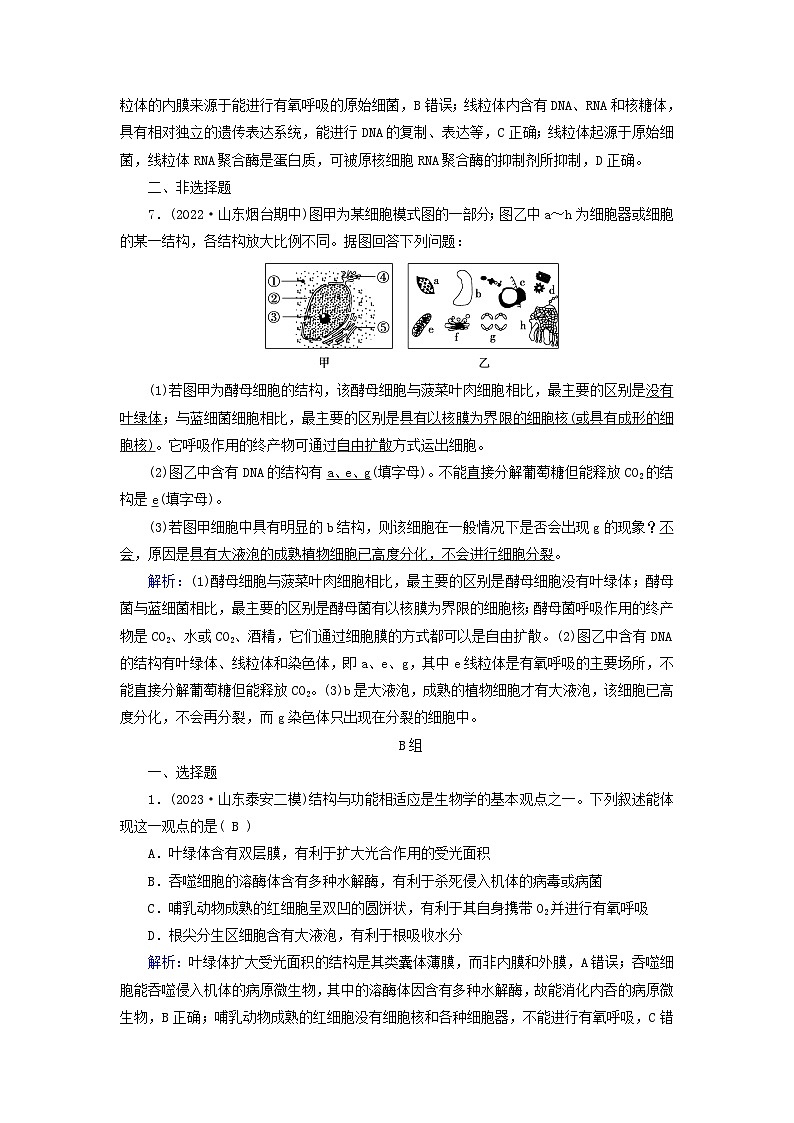 新高考适用2024版高考生物一轮总复习练案5必修1分子与细胞第二单元细胞的基本结构与物质输入和输出第2讲细胞器和生物膜系统第3页