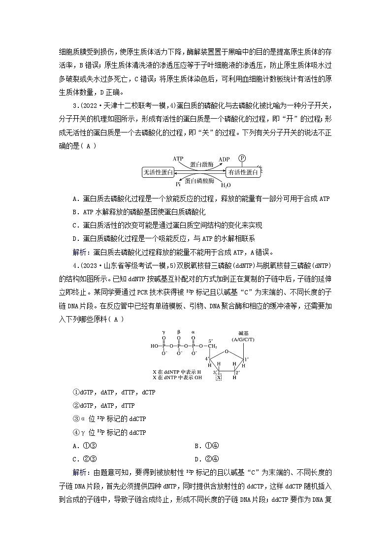 新高考适用2024版高考生物一轮总复习练案7必修1分子与细胞第三单元细胞的能量供应和利用第1讲酶和ATP02