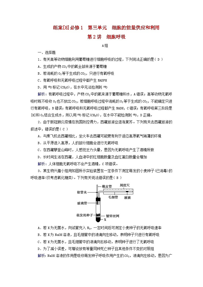 新高考适用2024版高考生物一轮总复习练案8必修1分子与细胞第三单元细胞的能量供应和利用第2讲细胞呼吸第1页