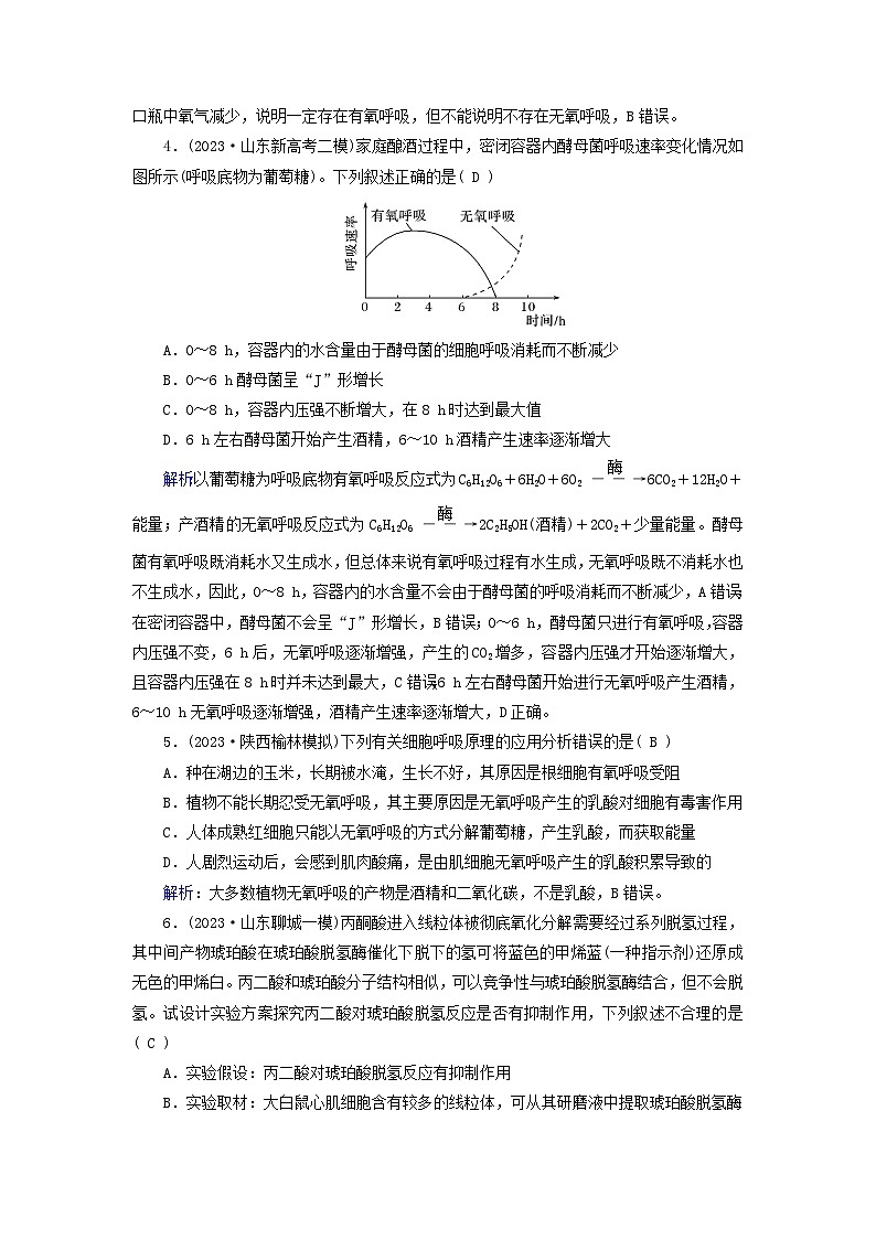新高考适用2024版高考生物一轮总复习练案8必修1分子与细胞第三单元细胞的能量供应和利用第2讲细胞呼吸第2页