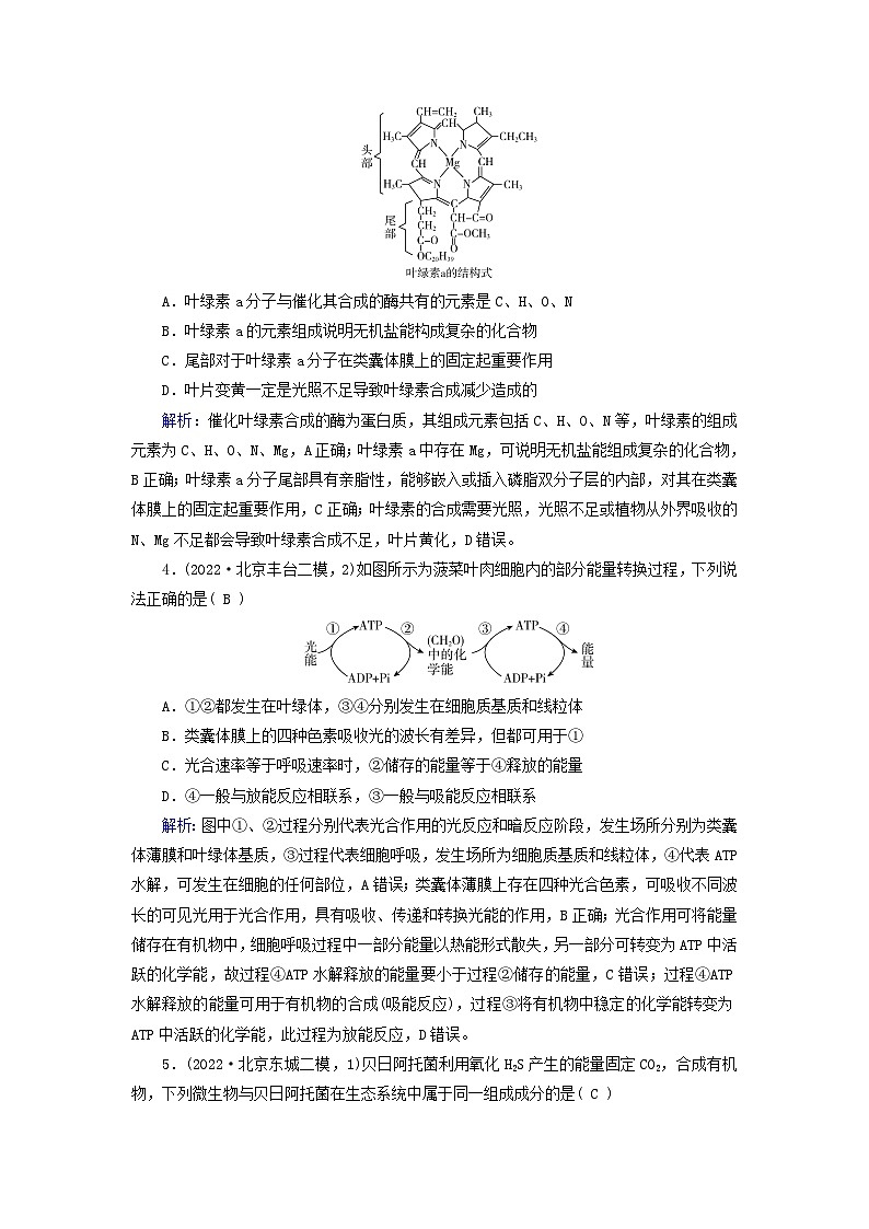 新高考适用2024版高考生物一轮总复习练案9必修1分子与细胞第三单元细胞的能量供应和利用第3讲第1课时捕获光能的色素和结构光合作用的原理第2页