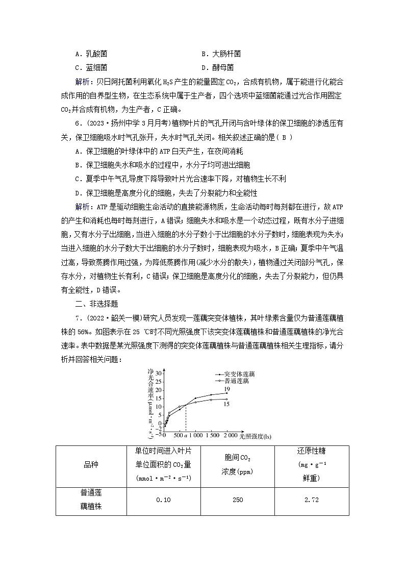 新高考适用2024版高考生物一轮总复习练案9必修1分子与细胞第三单元细胞的能量供应和利用第3讲第1课时捕获光能的色素和结构光合作用的原理第3页