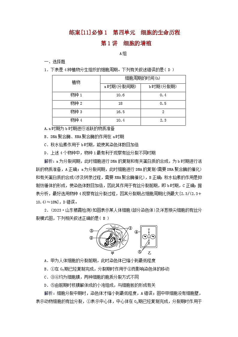 新高考适用2024版高考生物一轮总复习练案11必修1分子与细胞第四单元细胞的生命历程第1讲细胞的增殖第1页