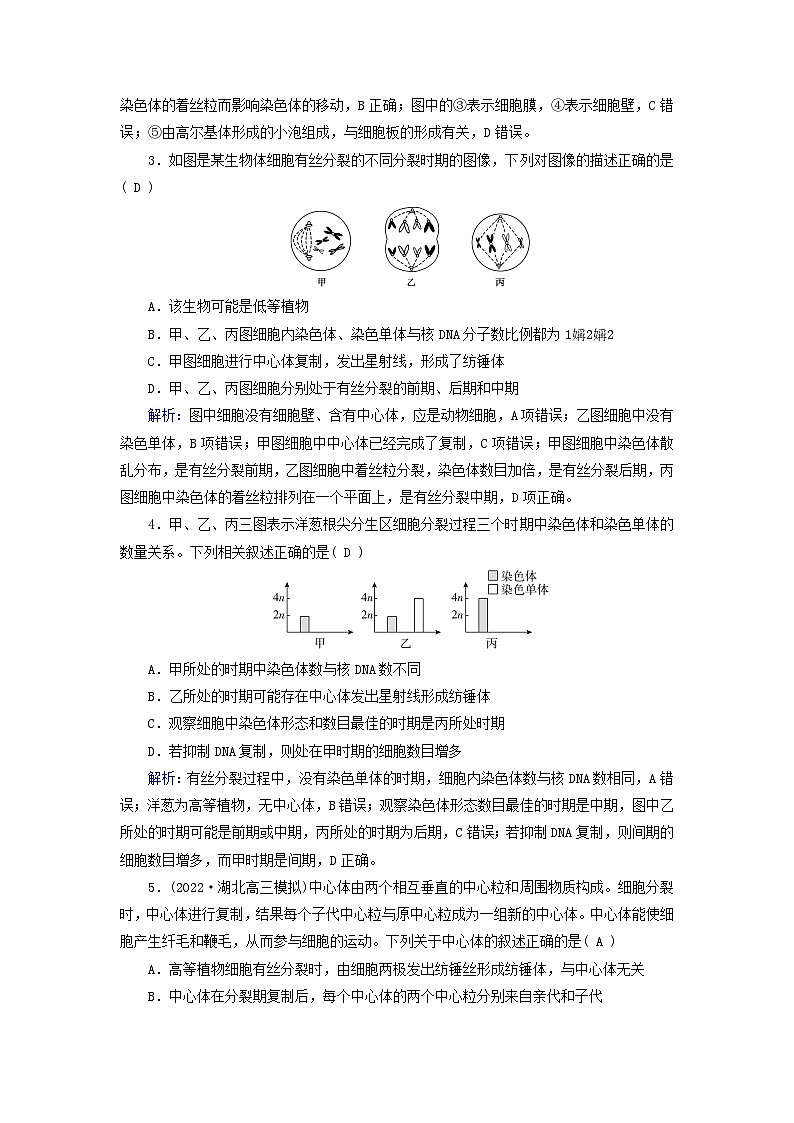 新高考适用2024版高考生物一轮总复习练案11必修1分子与细胞第四单元细胞的生命历程第1讲细胞的增殖第2页