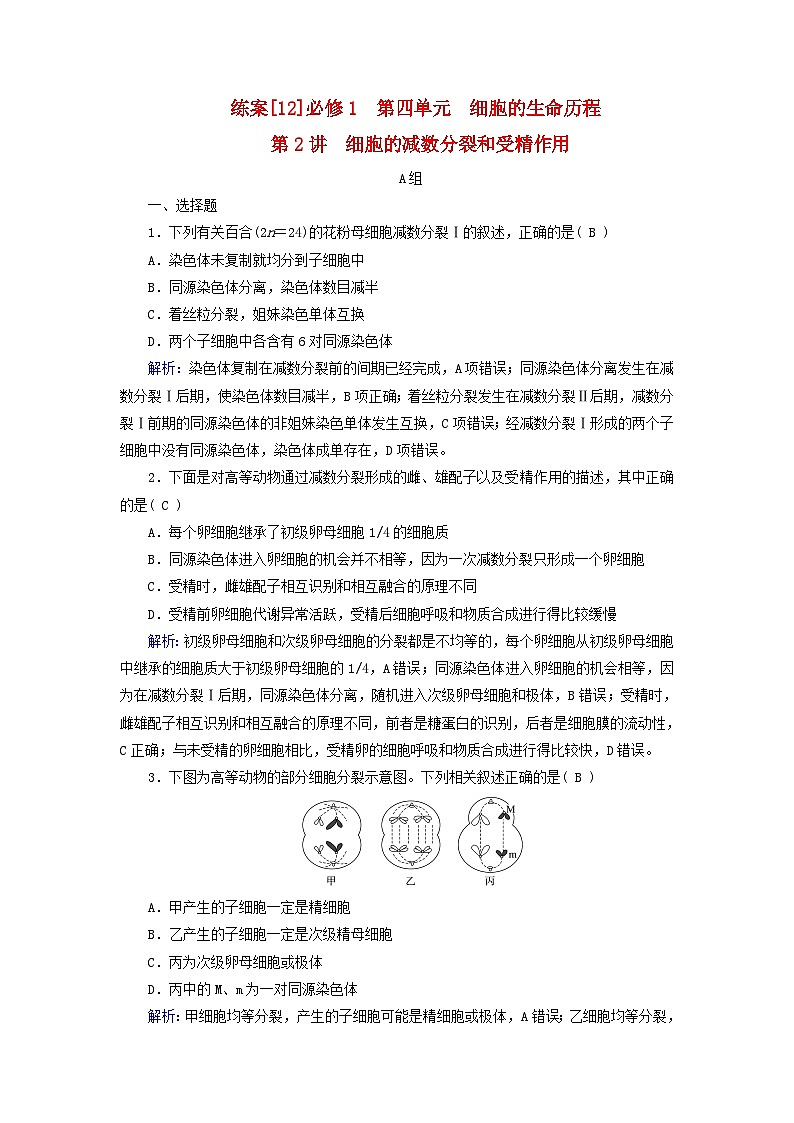 新高考适用2024版高考生物一轮总复习练案12必修1分子与细胞第四单元细胞的生命历程第2讲细胞的减数分裂和受精作用第1页