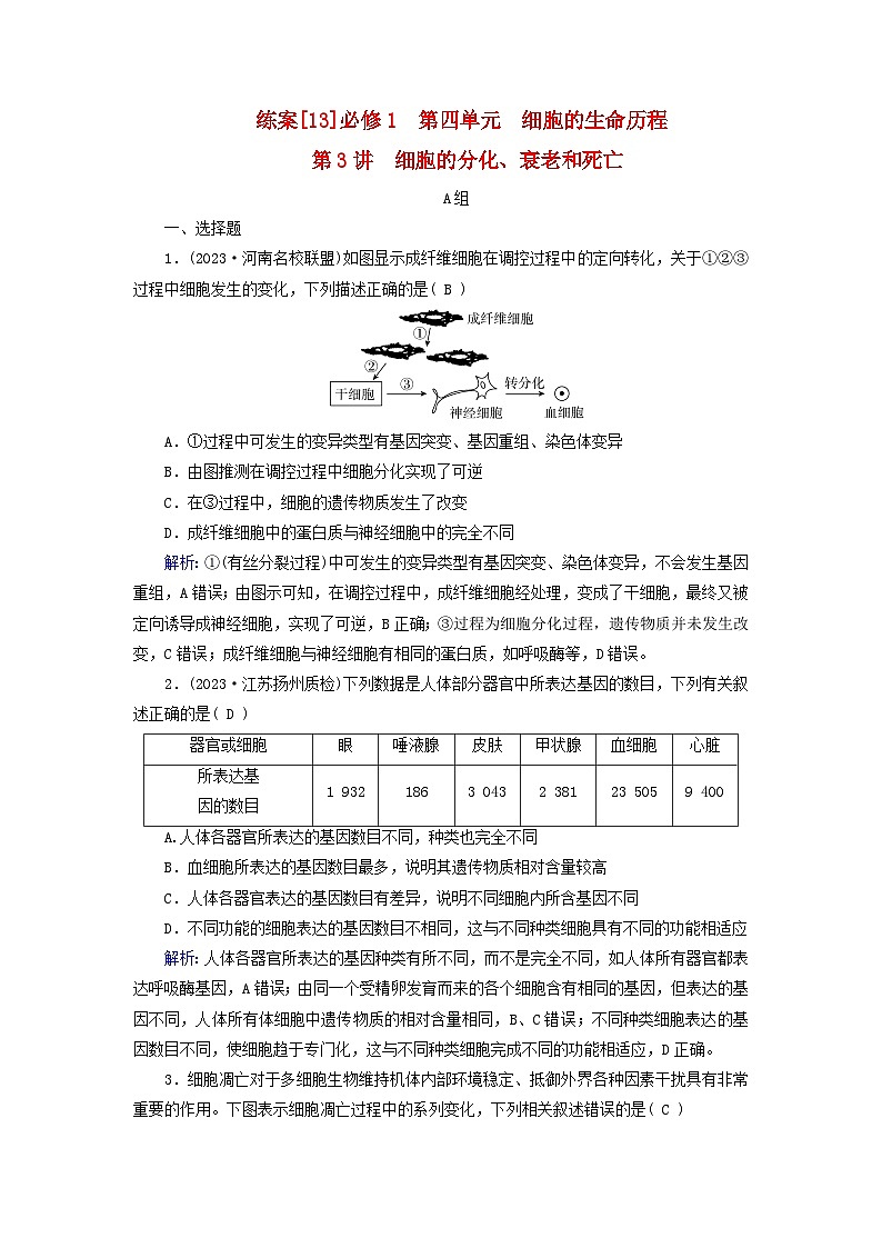 新高考适用2024版高考生物一轮总复习练案13必修1分子与细胞第四单元细胞的生命历程第3讲细胞的分化衰老和死亡第1页