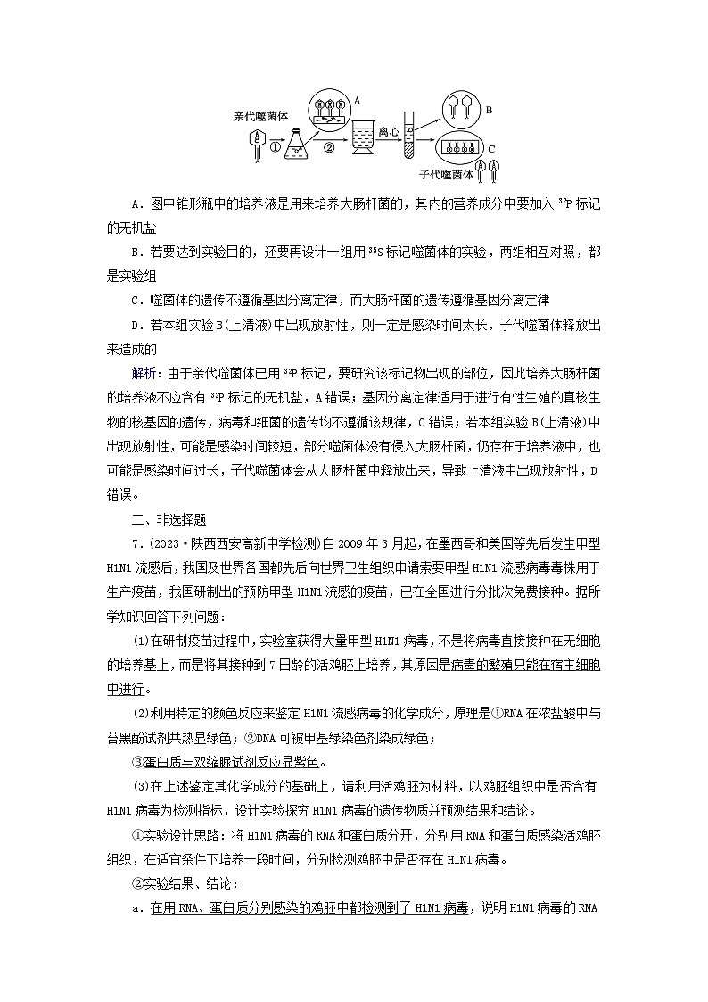 新高考适用2024版高考生物一轮总复习练案17必修2遗传与进化第六单元遗传的分子基础第1讲DNA是主要的遗传物质03