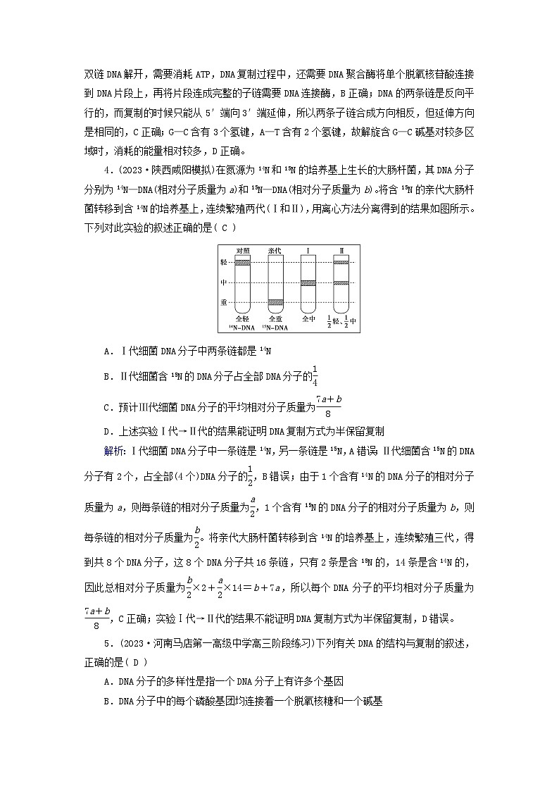 新高考适用2024版高考生物一轮总复习练案18必修2遗传与进化第六单元遗传的分子基础第2讲DNA分子的结构复制与基因的本质02