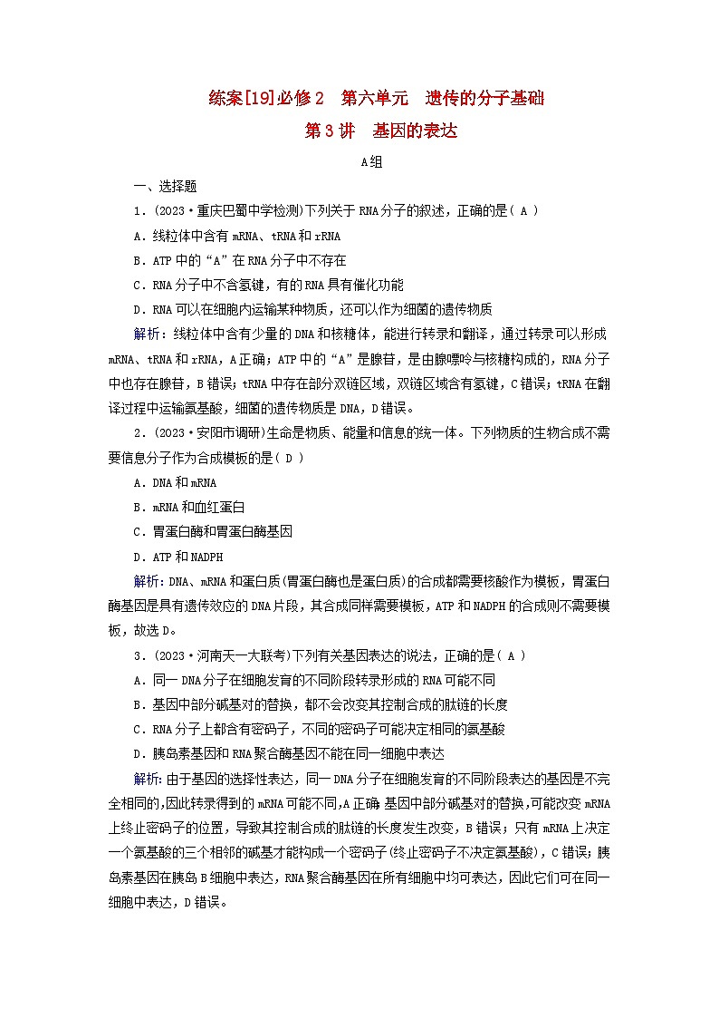 新高考适用2024版高考生物一轮总复习练案19必修2遗传与进化第六单元遗传的分子基础第3讲基因的表达01