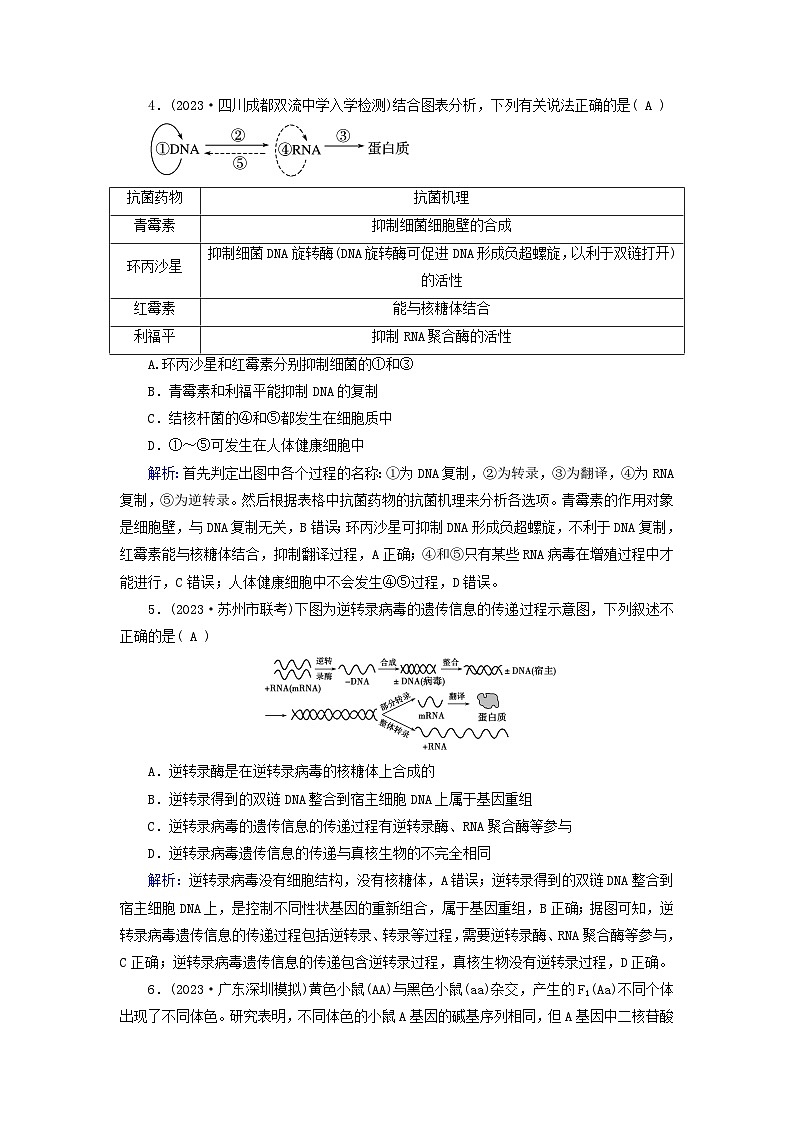 新高考适用2024版高考生物一轮总复习练案19必修2遗传与进化第六单元遗传的分子基础第3讲基因的表达02
