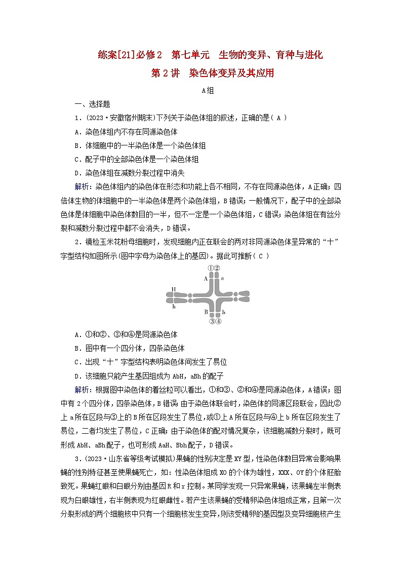 新高考适用2024版高考生物一轮总复习练案21必修2遗传与进化第七单元生物的变异育种与进化第2讲染色体变异及其应用01