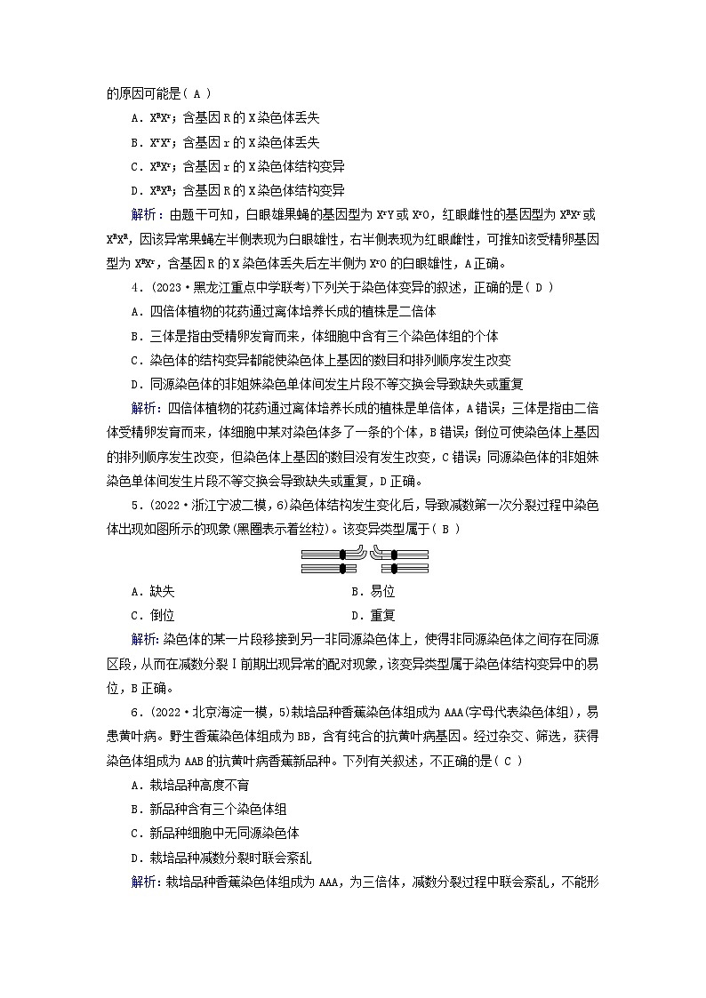 新高考适用2024版高考生物一轮总复习练案21必修2遗传与进化第七单元生物的变异育种与进化第2讲染色体变异及其应用02