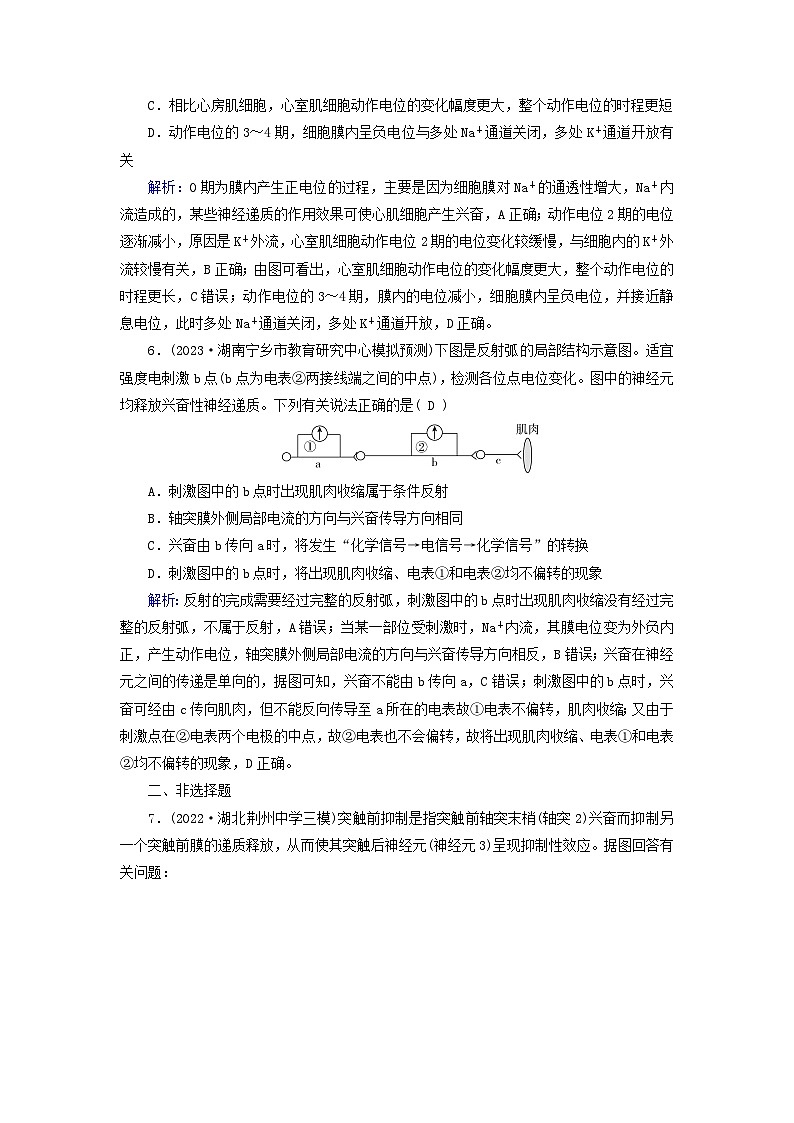 新高考适用2024版高考生物一轮总复习练案24选择性必修1稳态与调节第八单元稳态与调节第2讲神经调节的基础方式与神经冲动的产生和传导第3页