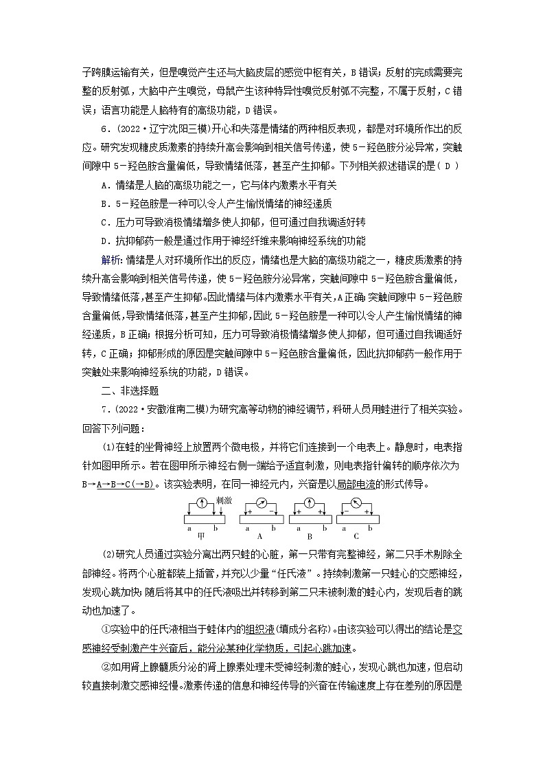 新高考适用2024版高考生物一轮总复习练案25选择性必修1稳态与调节第八单元稳态与调节第3讲神经系统的分级调节与人脑的高级功能第3页