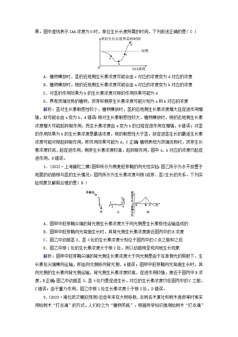 新高考适用2024版高考生物一轮总复习练案28选择性必修1稳态与调节第八单元稳态与调节第6讲植物生命活动的调节02
