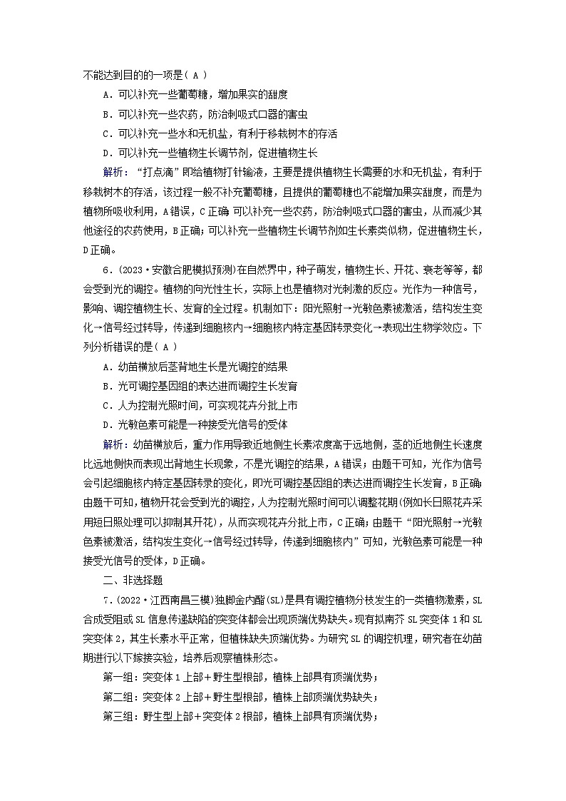 新高考适用2024版高考生物一轮总复习练案28选择性必修1稳态与调节第八单元稳态与调节第6讲植物生命活动的调节03