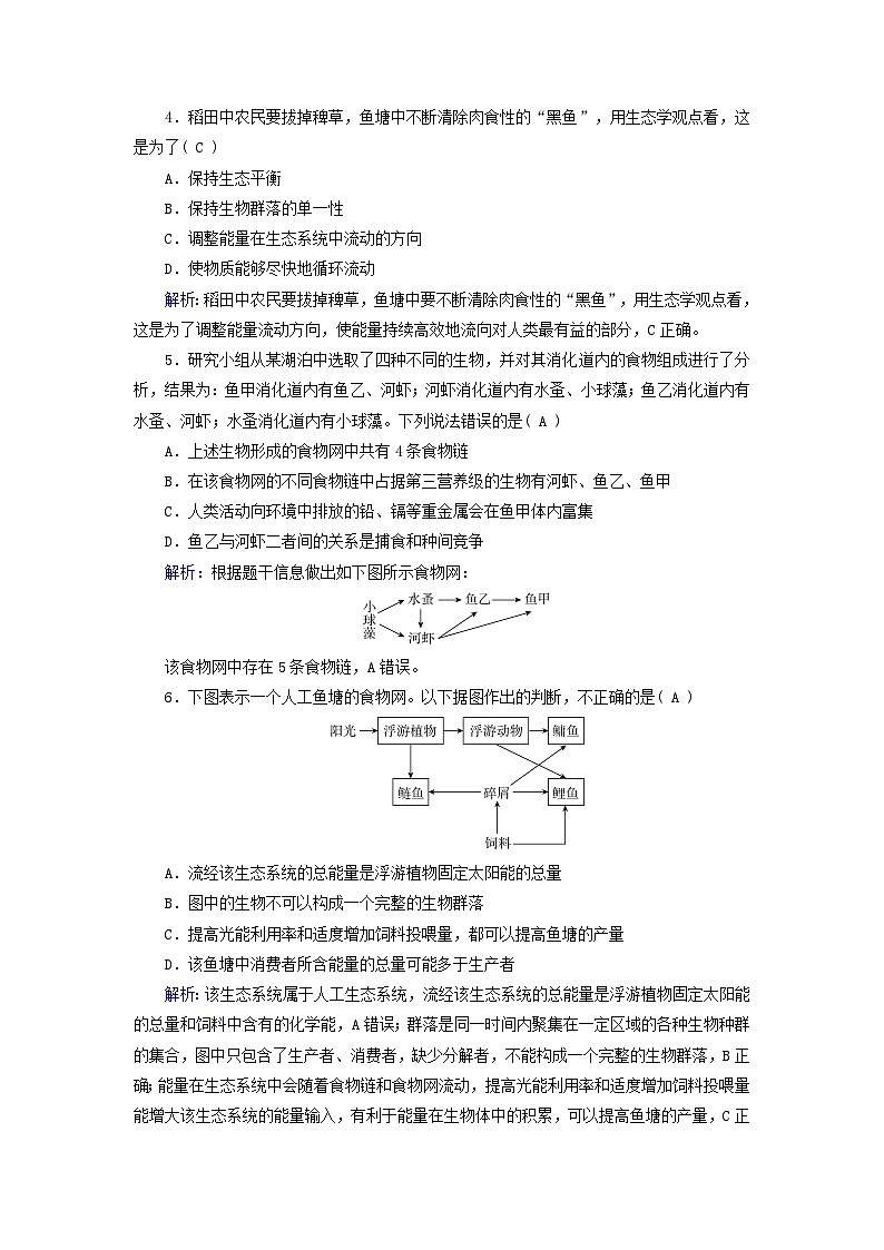 新高考适用2024版高考生物一轮总复习练案31选择性必修2生物与环境第九单元生物与环境第3讲生态系统的结构与能量流动02