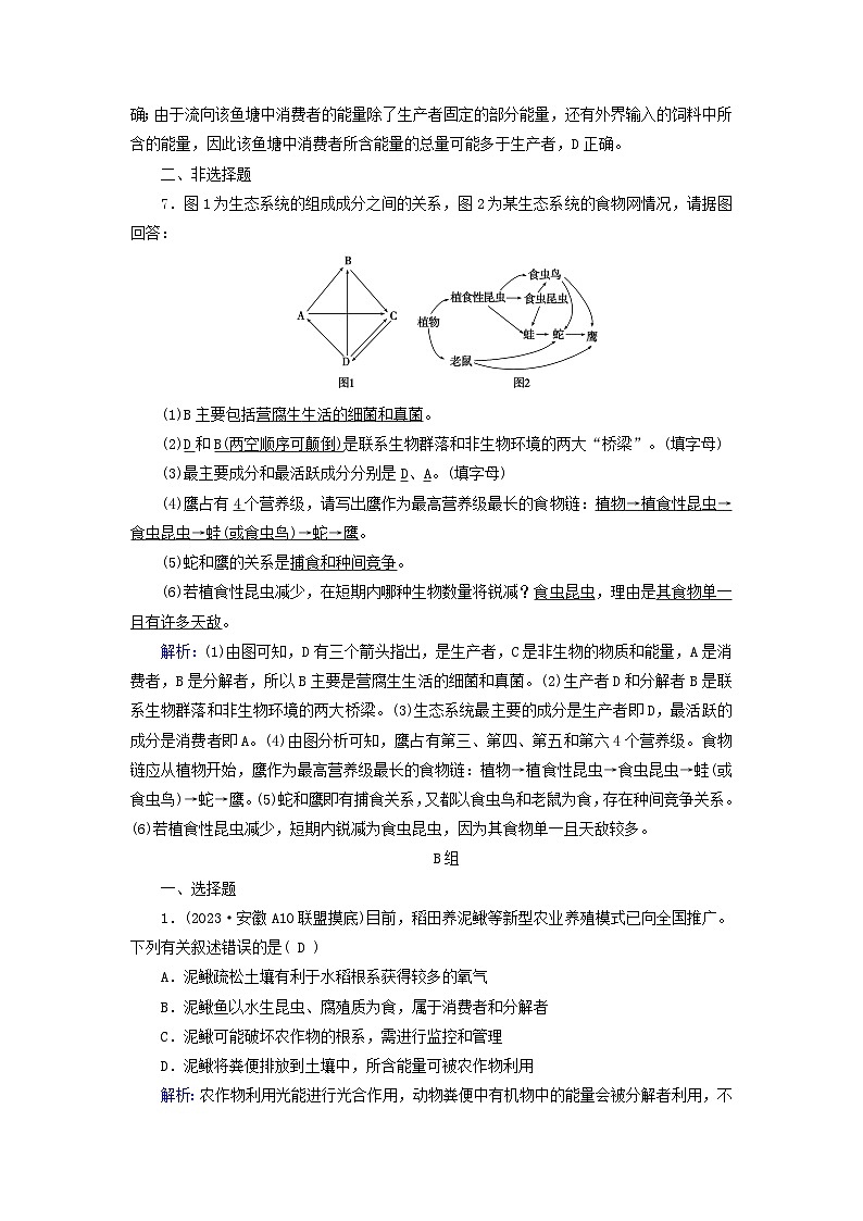 新高考适用2024版高考生物一轮总复习练案31选择性必修2生物与环境第九单元生物与环境第3讲生态系统的结构与能量流动03