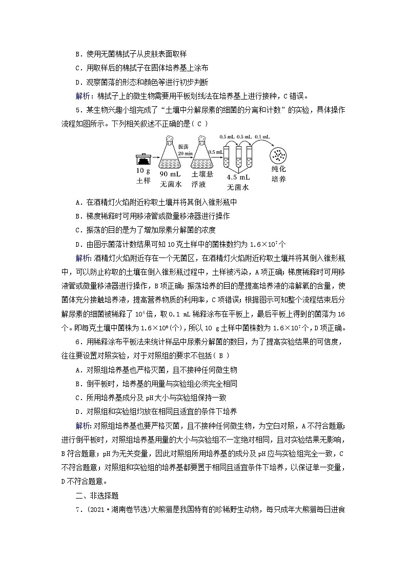 新高考适用2024版高考生物一轮总复习练案35选择性必修3生物与技术第十单元生物技术与工程第2讲微生物的培养技术及应用第2页