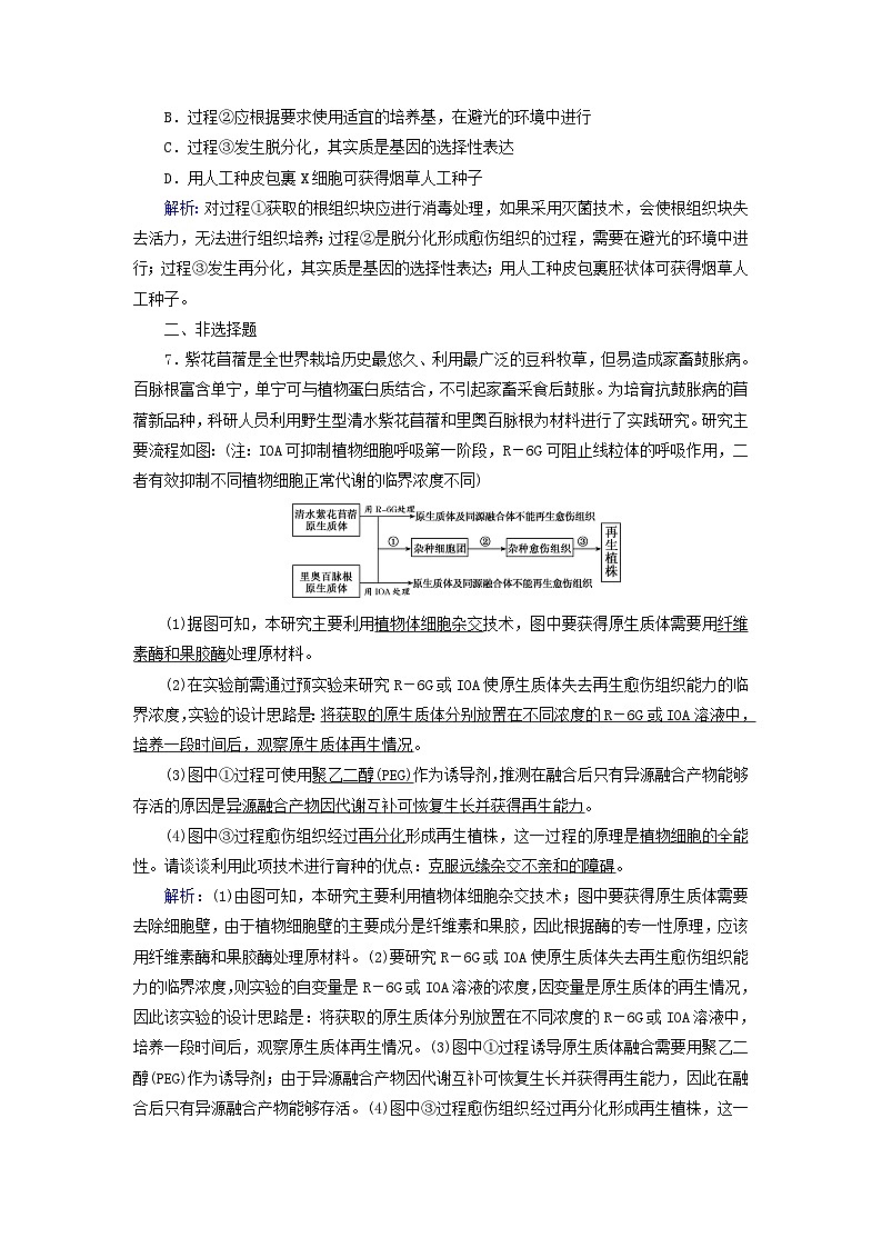新高考适用2024版高考生物一轮总复习练案36选择性必修3生物与技术第十单元生物技术与工程第3讲细胞工程第3页