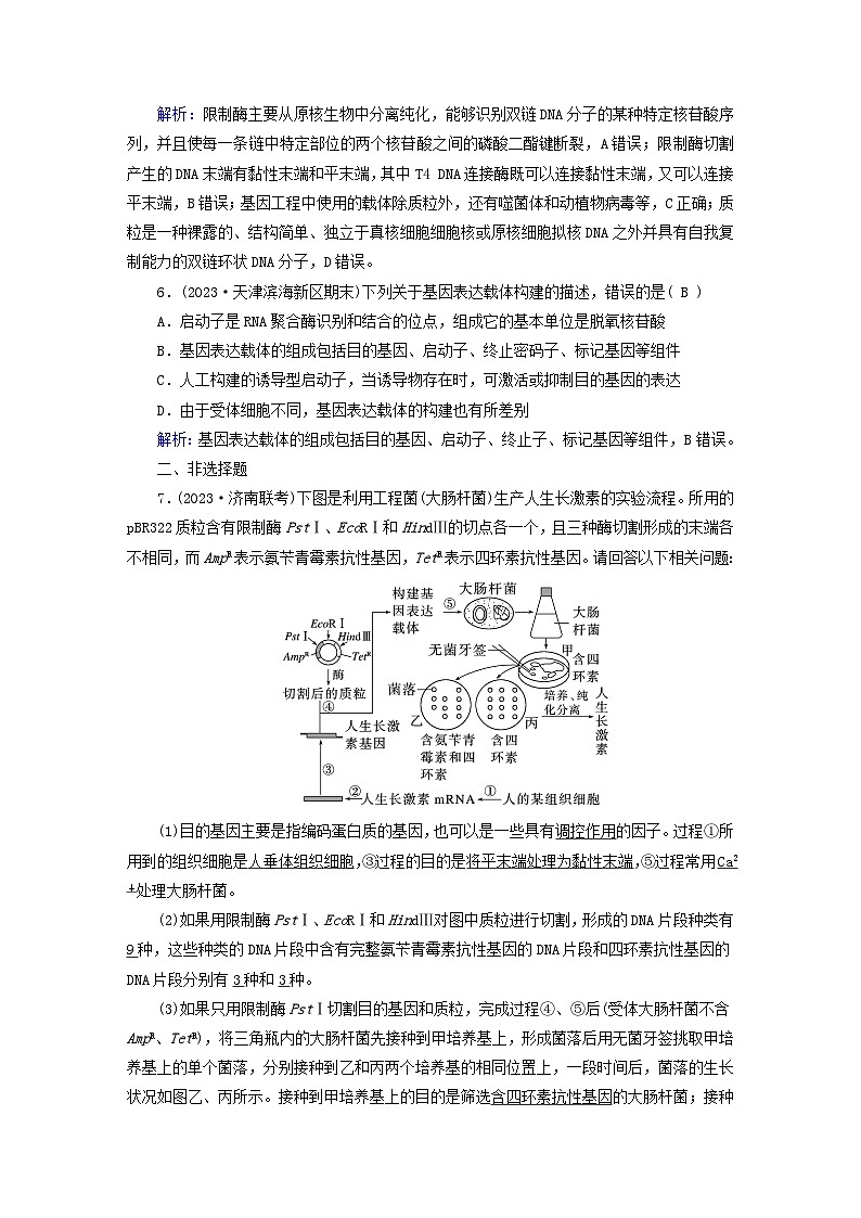 新高考适用2024版高考生物一轮总复习练案38选择性必修3生物与技术第十单元生物技术与工程第5讲基因工程第3页