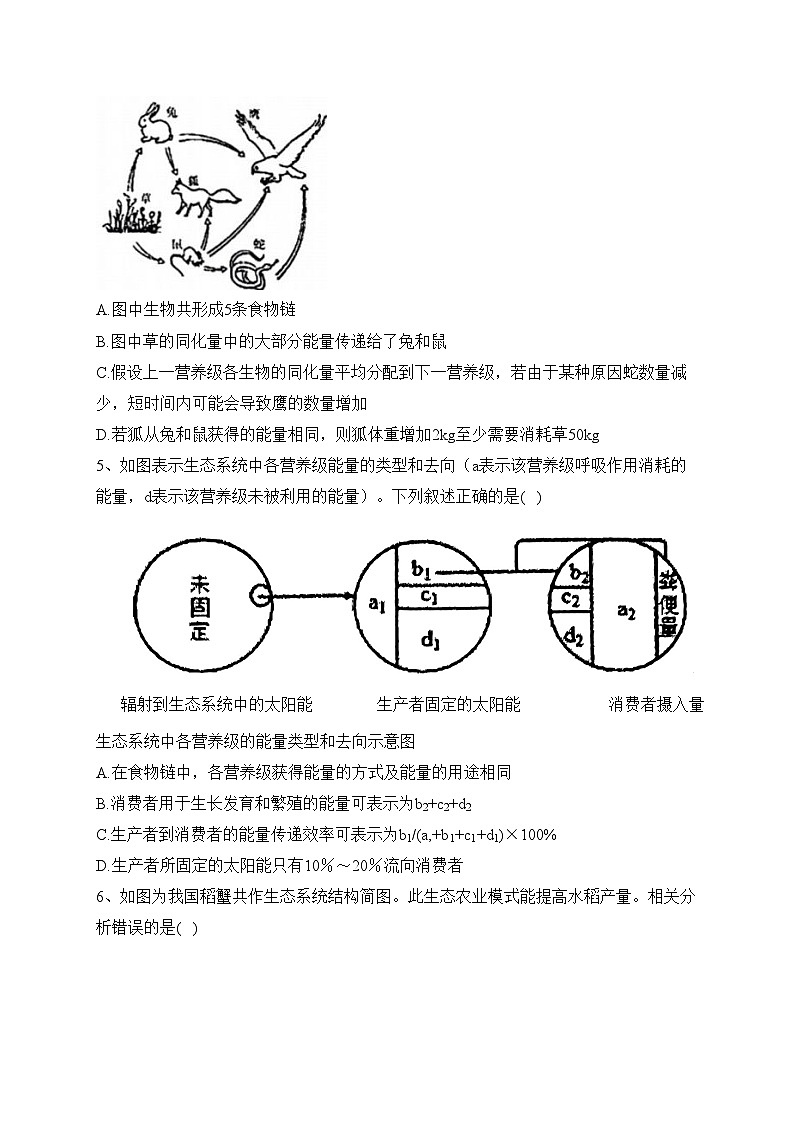 福建省宁德市五校2022-2023学年高二下学期期中质量监测生物试卷(含答案)第2页