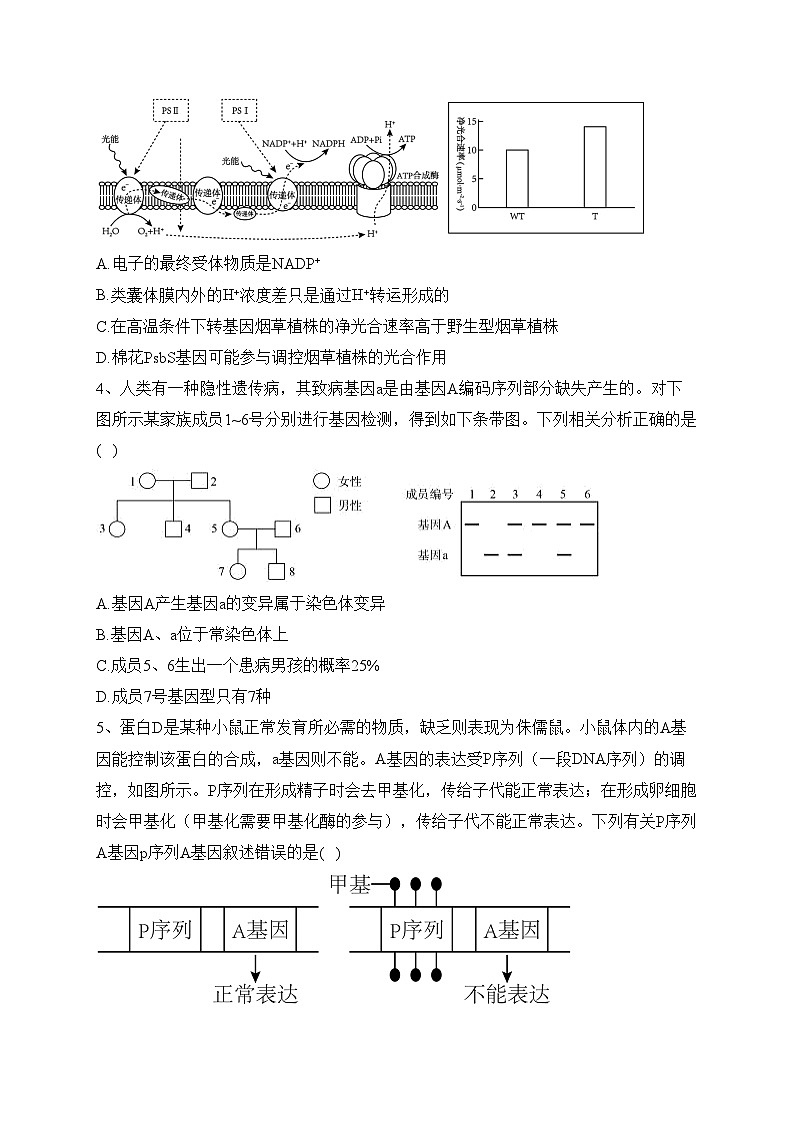 重庆市七校2023届高三下学期三诊（模）生物试卷(含答案)02
