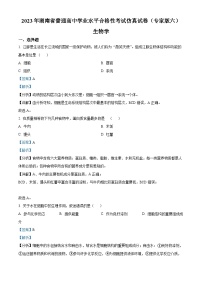 精品解析：2023年湖南省普通高中学业水平合格性考试仿真试卷（专家版六）生物试题（解析版）