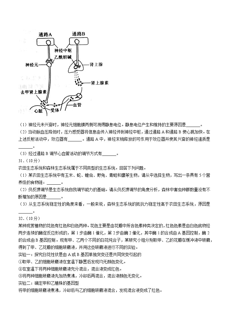 （网络收集版）2023年全国乙卷生物高考真题文档版（无答案）第3页