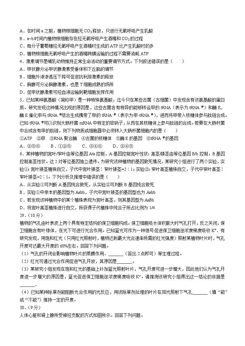 （网络收集版）2023年全国乙卷生物高考真题文档版（无答案）第2页