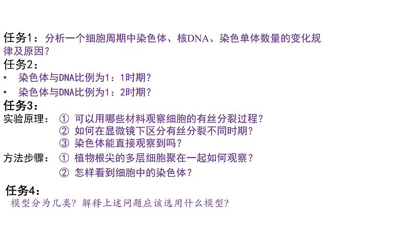 第2期 细胞的增殖过程中的物质变化规律与实验——2022-2023学年高一生物期末专题复习课件（人教版2019必修2）第4页