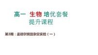 第3期 孟德尔豌豆杂交实验——2022-2023学年高一生物期末专题复习课件（人教版2019必修2）