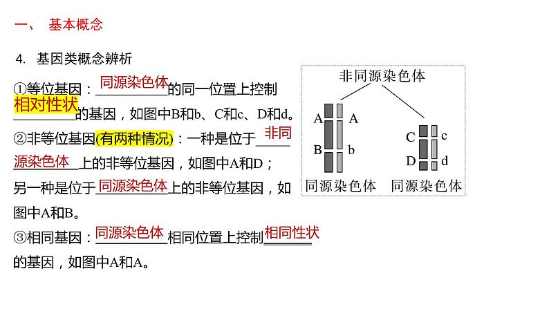 第3期 孟德尔豌豆杂交实验——2022-2023学年高一生物期末专题复习课件（人教版2019必修2）第7页