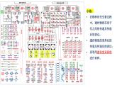 第5期 孟德尔遗传规律综合解题技巧——2022-2023学年高一生物期末专题复习课件（人教版2019必修2）