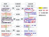 第5期 孟德尔遗传规律综合解题技巧——2022-2023学年高一生物期末专题复习课件（人教版2019必修2）