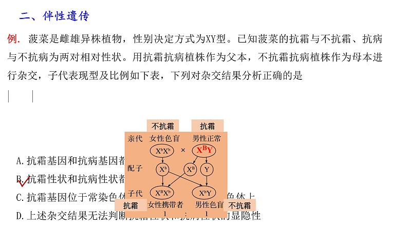 第9期 性别决定和伴性遗传——2022-2023学年高一生物期末专题复习课件（人教版2019必修2）第5页