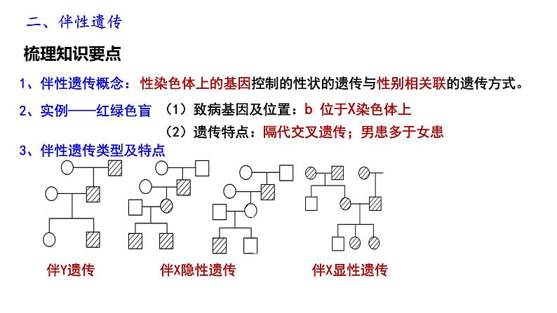 第9期 性别决定和伴性遗传——2022-2023学年高一生物期末专题复习课件（人教版2019必修2）第6页