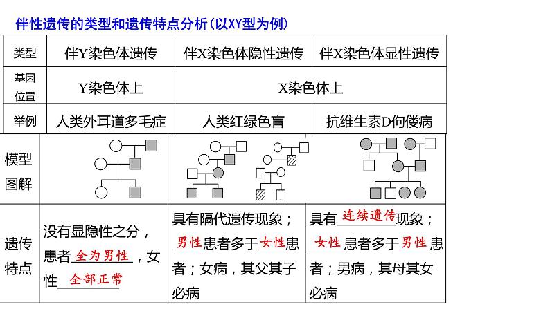 第9期 性别决定和伴性遗传——2022-2023学年高一生物期末专题复习课件（人教版2019必修2）第7页