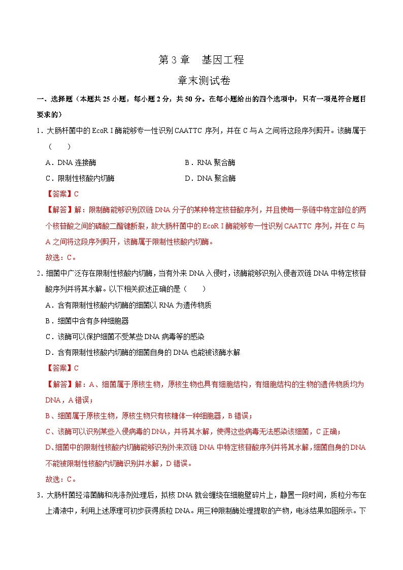 第3章 基因工程——2022-2023学年高二生物下学期期末知识点精讲+训练学案+期末模拟卷01