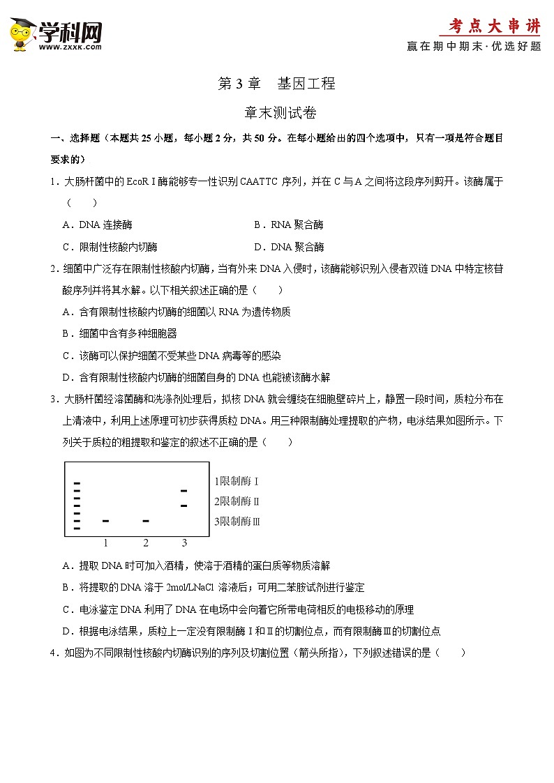 第3章 基因工程（练习卷）——2022-2023学年高二生物下学期期末知识点精讲+训练学案+期末模拟卷（原卷版）第1页