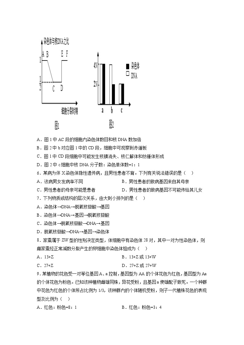 卷01——2022-2023年高一生物下学期期末模拟测试卷（人教版2019）02