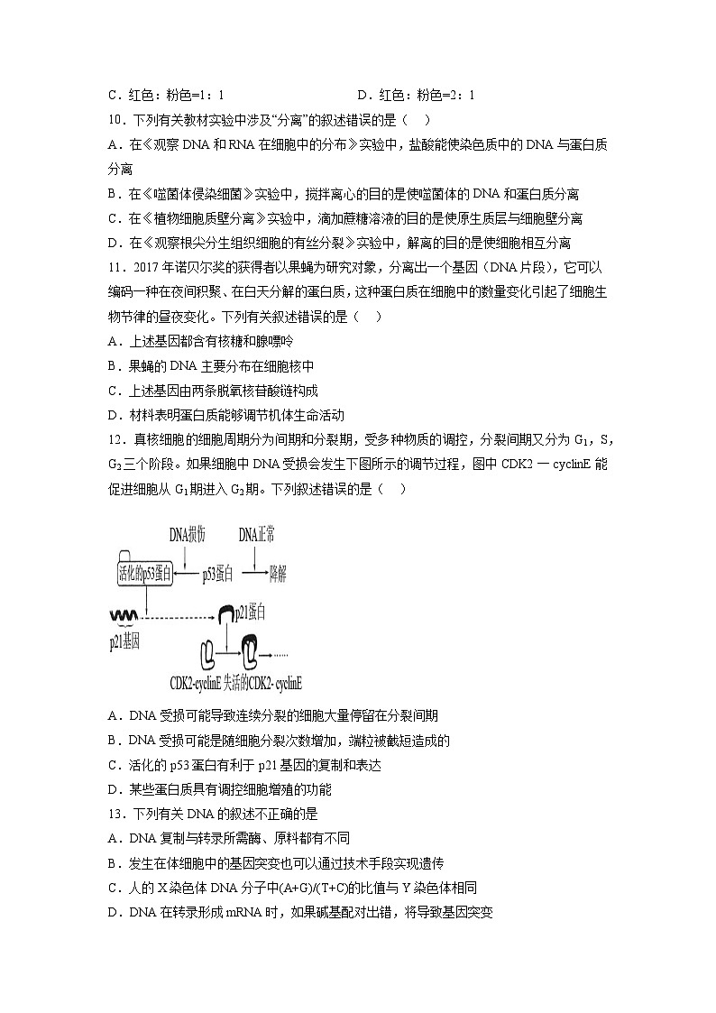 卷01——2022-2023年高一生物下学期期末模拟测试卷（人教版2019）03