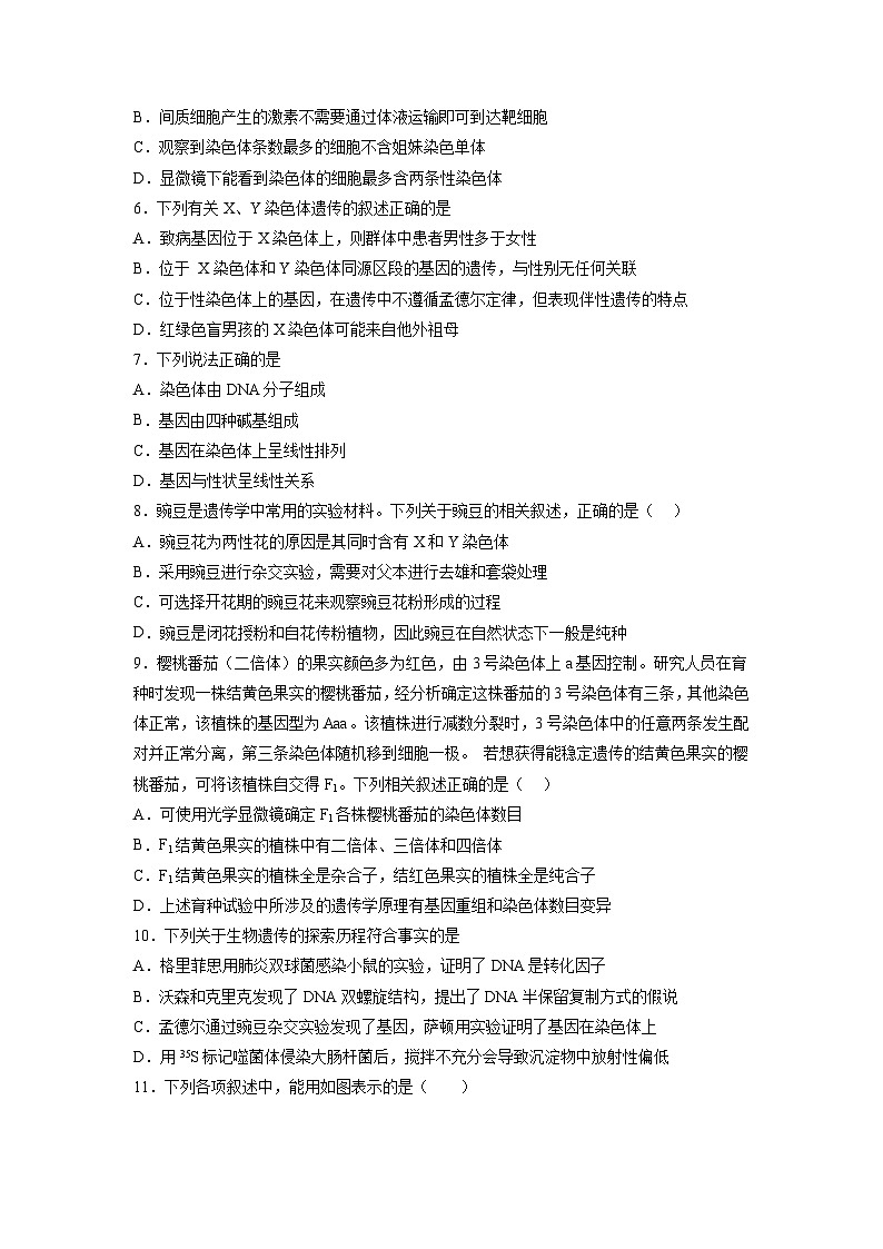 卷02——2022-2023年高一生物下学期期末模拟测试卷（人教版2019）02