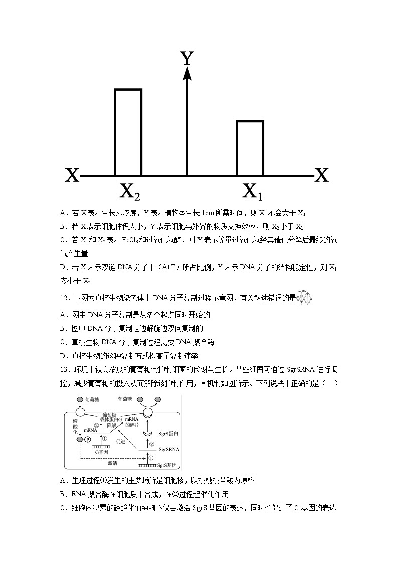 卷02——2022-2023年高一生物下学期期末模拟测试卷（人教版2019）03