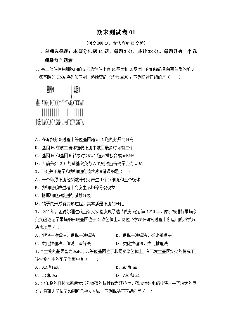 卷01——2022-2023年高一生物下学期期末模拟测试卷（江苏专用）01