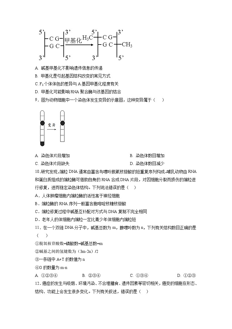 卷01——2022-2023年高一生物下学期期末模拟测试卷（江苏专用）03