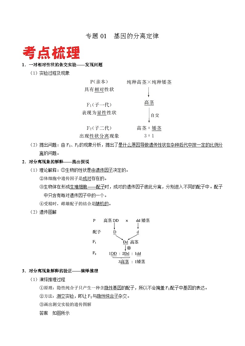专题01 基因的分离定律——高一生物下学期期末复习专题复习学案（人教版2019必修2）（原卷版）第1页
