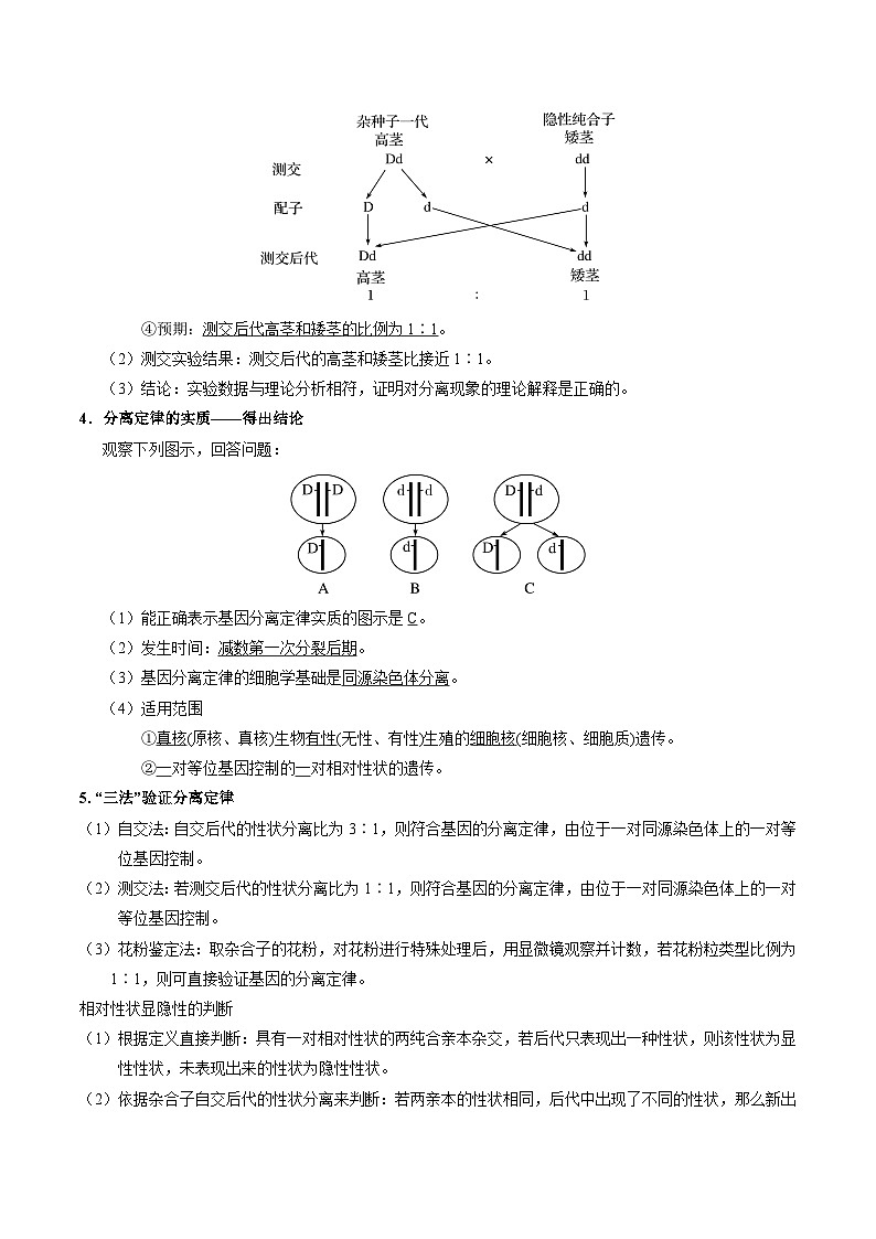 专题01 基因的分离定律——高一生物下学期期末复习专题复习学案（人教版2019必修2）（解析版）第2页