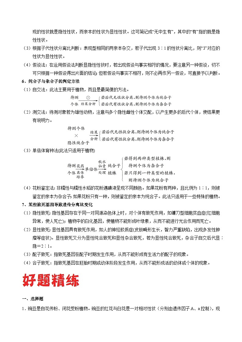 专题01 基因的分离定律——高一生物下学期期末复习专题复习学案（人教版2019必修2）（解析版）第3页