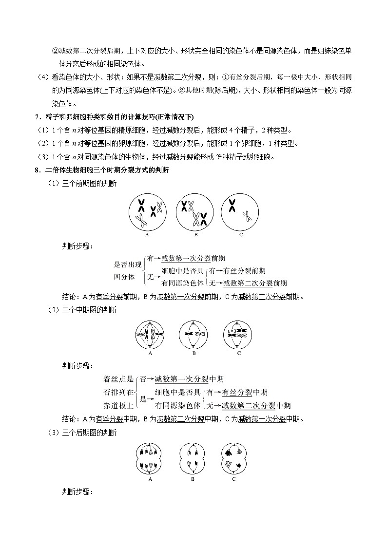 专题04 减数分裂和受精作用——高一生物下学期期末专题复习学案（人教版2019必修2）（解析版）第3页